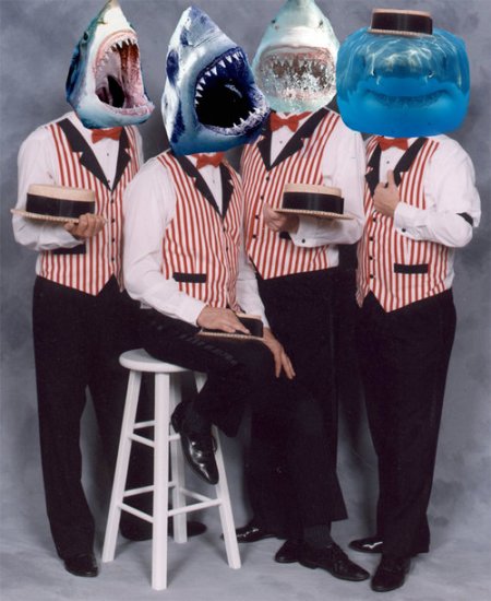 Barber Shark Quartet
