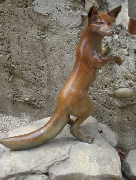 Stone Cold Fox 13, cropped Stone Cold Fox