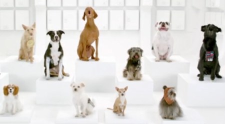 Commercial Interruption 6 Todd Bieber's Commercial Interruption