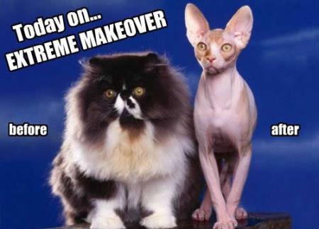 Laurie Stanton's Sound Diet