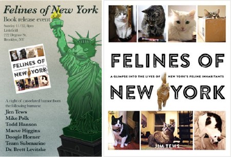 Felines of New York